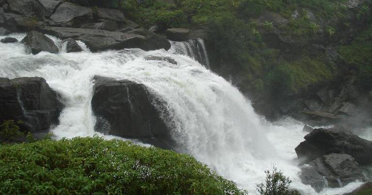 crownpalaceresortcoorg